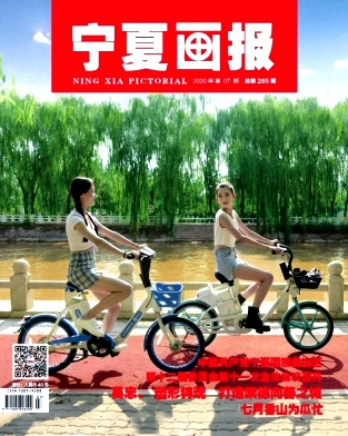 寧夏畫報